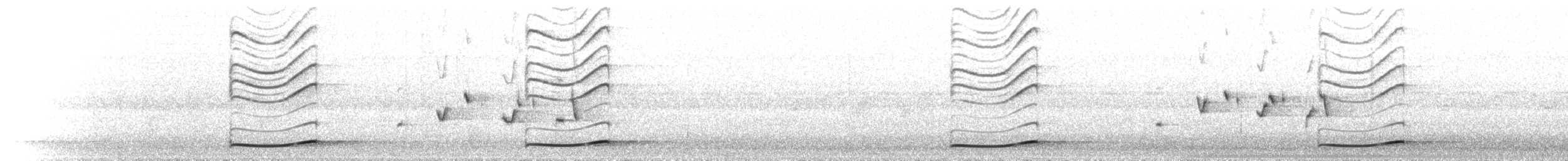 Тихоокеанский коэль - ML646447097