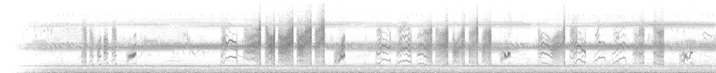 Золотоголовая цистикола - ML646447154