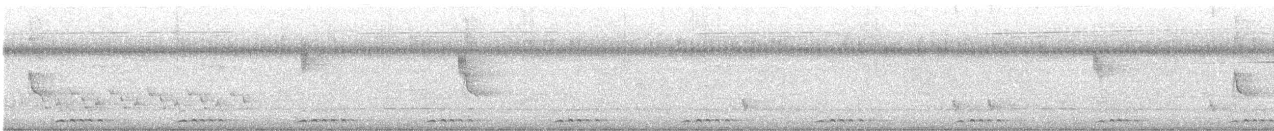 Полосатый бородастик - ML646447160