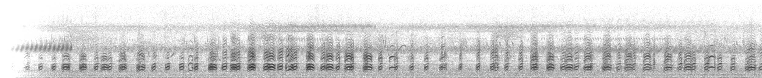 Белобрюхий орлан - ML646447163