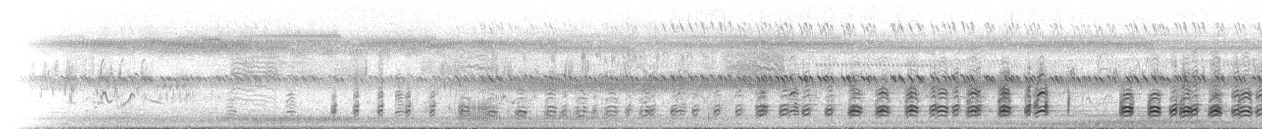 Белобрюхий орлан - ML646447167