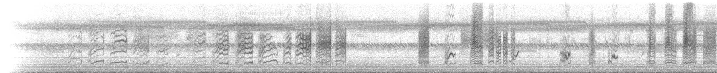 Золотоголовая цистикола - ML646447176