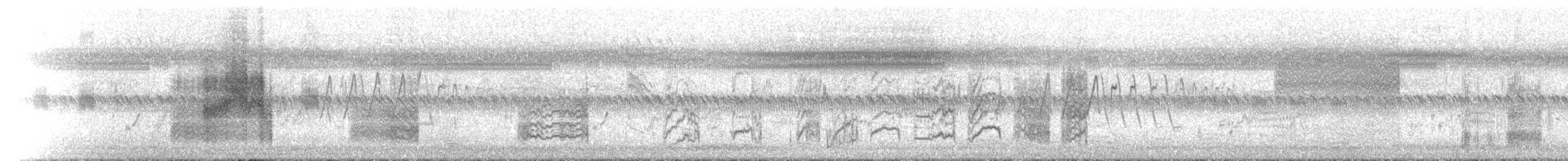 Золотоголовая цистикола - ML646447183