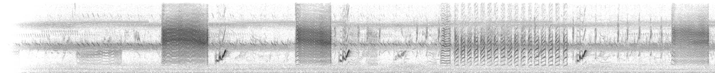 Золотоголовая цистикола - ML646447185