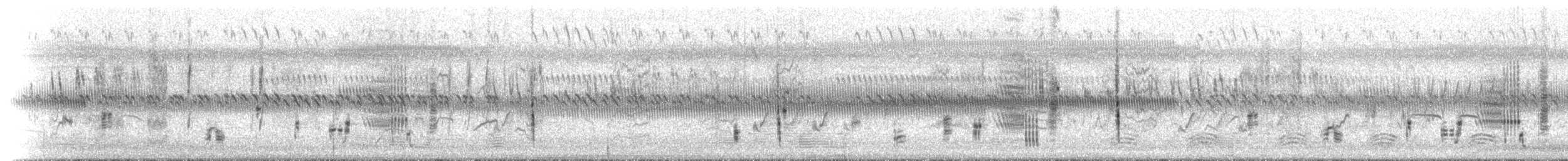 Жаворонковая клинохвостка - ML646447191