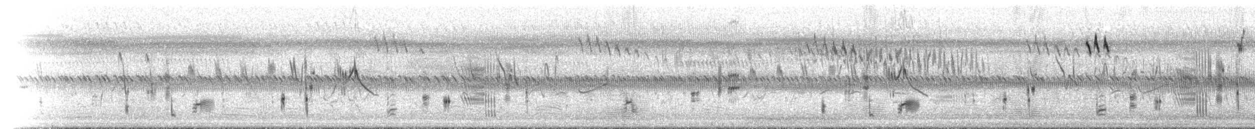 Жаворонковая клинохвостка - ML646447198