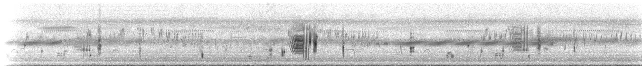 Жаворонковая клинохвостка - ML646447199