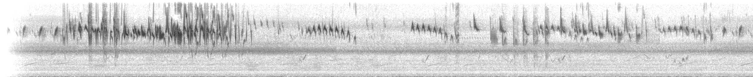 Чёрно-красный малюр - ML646447208