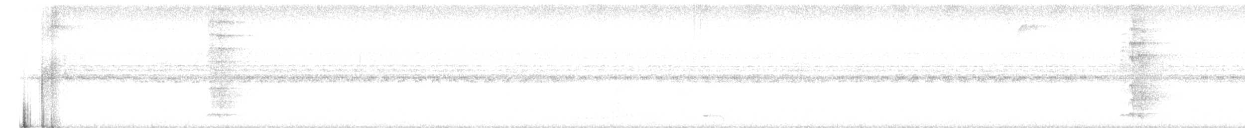 høvdingspett - ML646447381