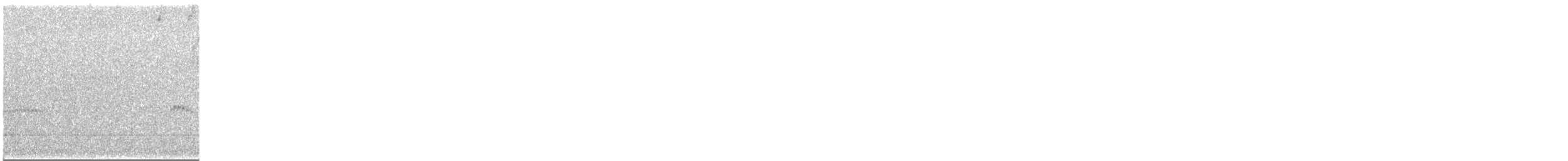 Variegated Antpitta - ML646447446