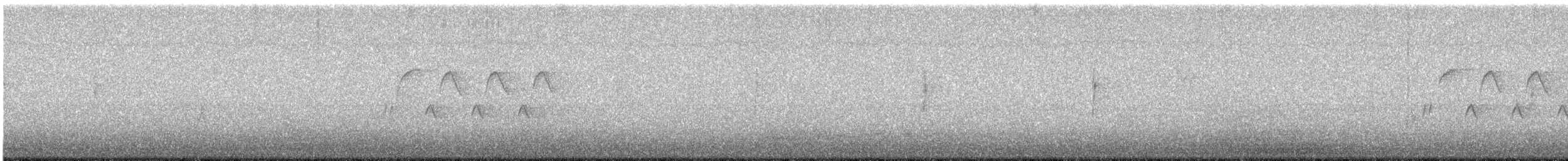 シロハラミソサザイ - ML646447753