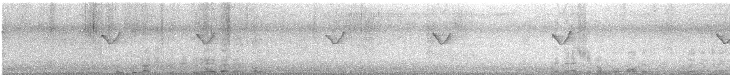 budníček pruhohlavý - ML646447851