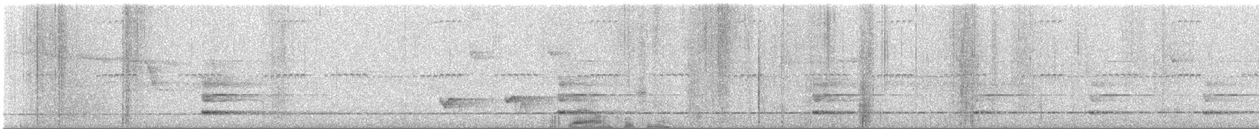 Such's Antthrush - ML646448047