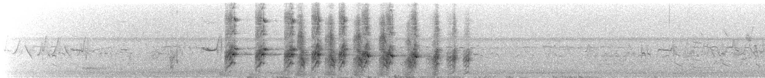 Rascón de Virginia - ML646448051