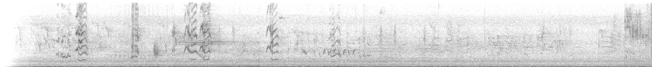 Scaly-breasted Lorikeet - ML646448392