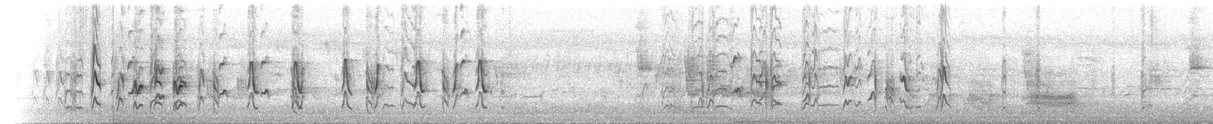 Bar-breasted Honeyeater - ML646448404