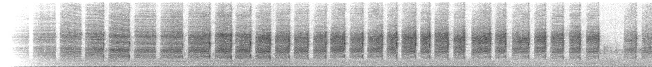 Bar-breasted Honeyeater - ML646448405
