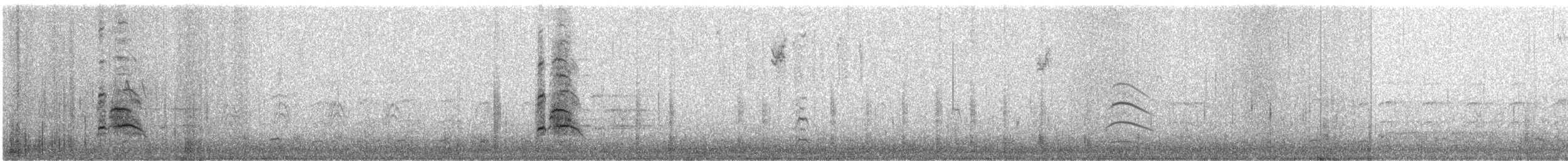 Suirirí Bicolor - ML646448611