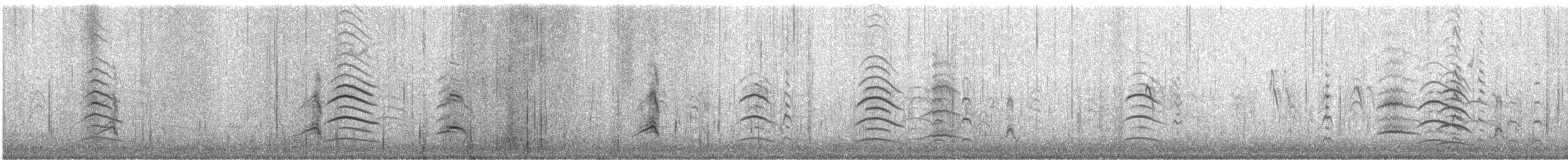 Fulvous Whistling-Duck - ML646448612