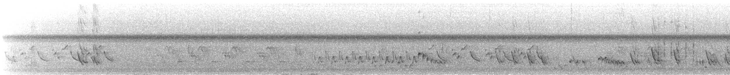 Golondrina Purpúrea (subis/arboricola) - ML646448930