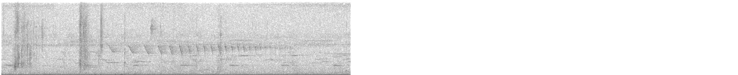 Tiluchí Estriado Oriental - ML646448991