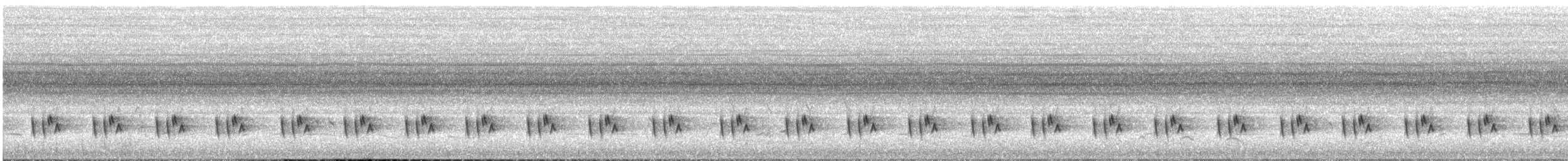 Apalis Pechigualdo (Colipardo) - ML646449002