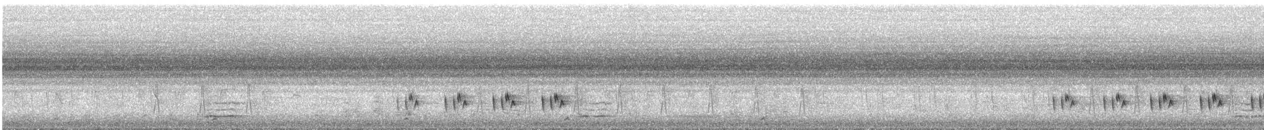 Apalis Pechigualdo (Colipardo) - ML646449003