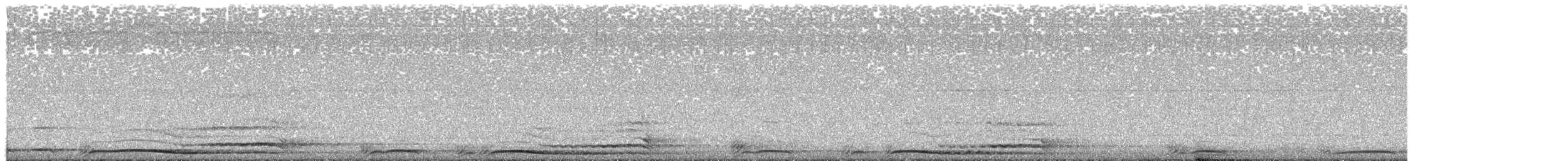 Cárabo Norteamericano - ML646449321