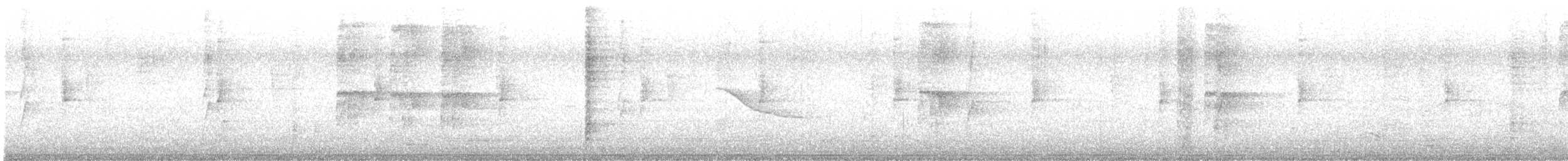 Zanate Cantor - ML646449411