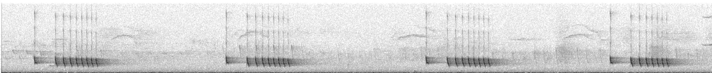 Chotacabras Malgache - ML646449425