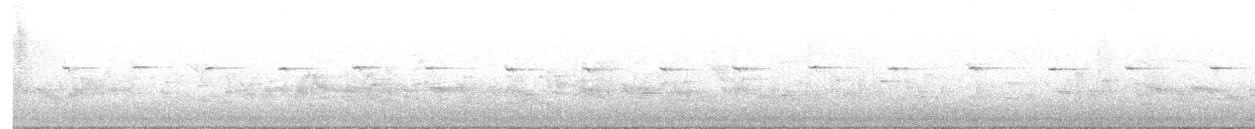 Torrentero Dorsigrís - ML646449426