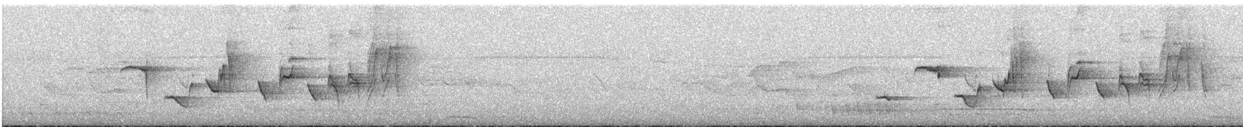 Shama Malgache - ML646449430