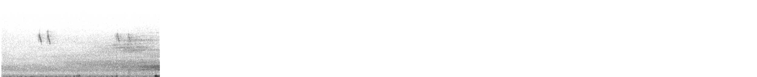 キセキレイ - ML646449525