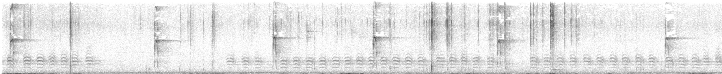 Hairy Woodpecker - ML646449715