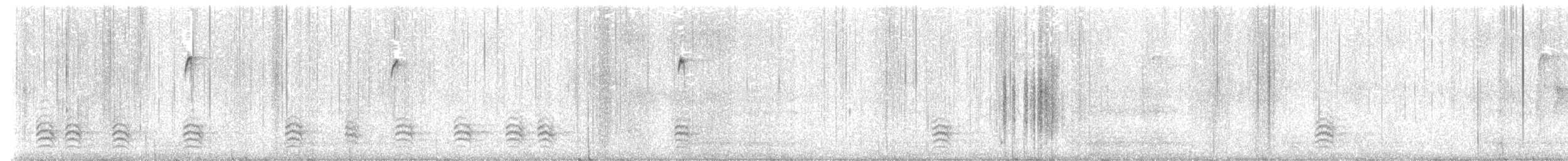 White-breasted Nuthatch - ML646449722