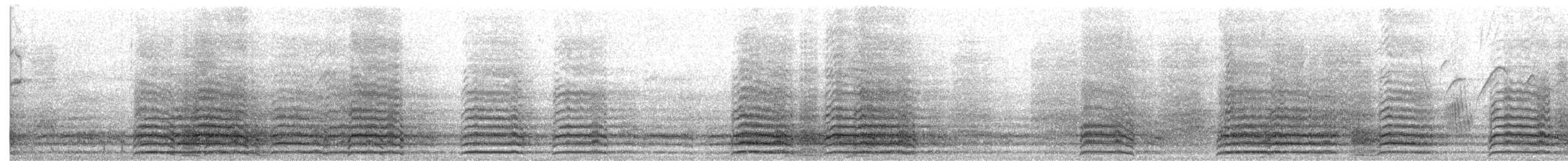 Indigo Macaw - ML646450057