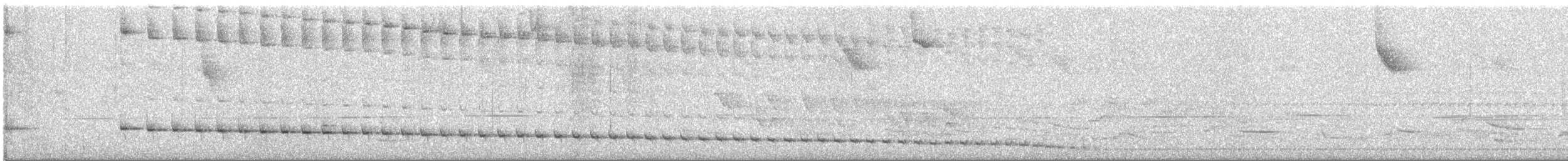 Slaty Bristlefront - ML646450058