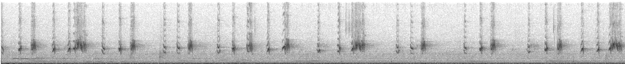 Madagaskar Kurşuni Arapbülbülü - ML646450119