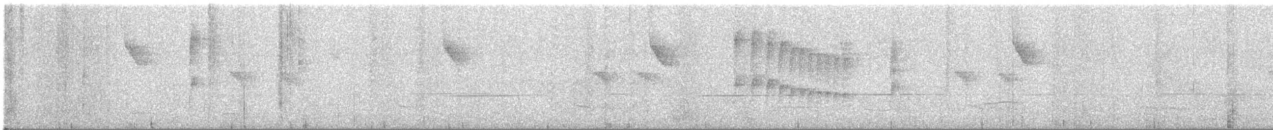 Mottle-cheeked Tyrannulet - ML646450312