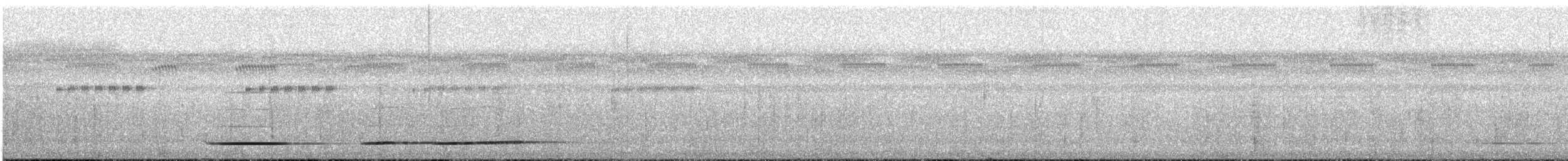 Undulated Tinamou - ML646450443