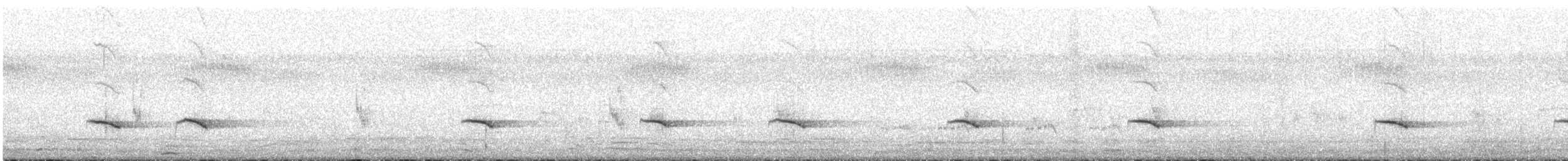 drongo chocholatý - ML646450530