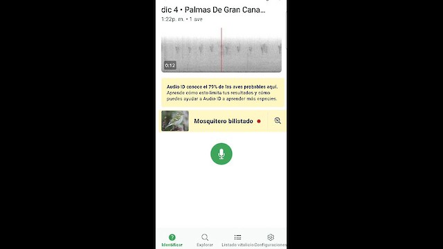 Yellow-browed Warbler - ML646450707