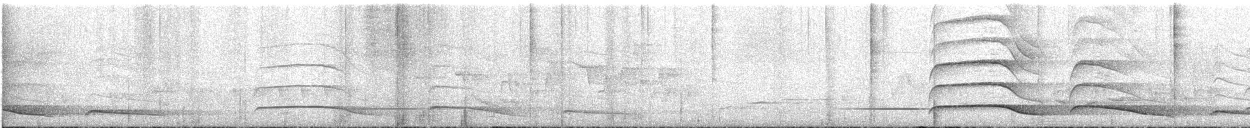 kurol madagaskarský - ML646451025