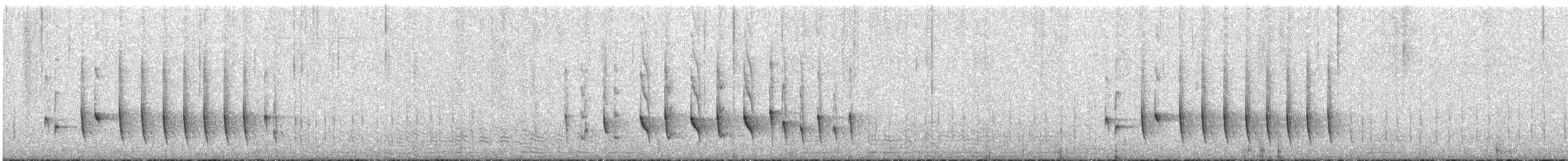 Common Newtonia - ML646451529