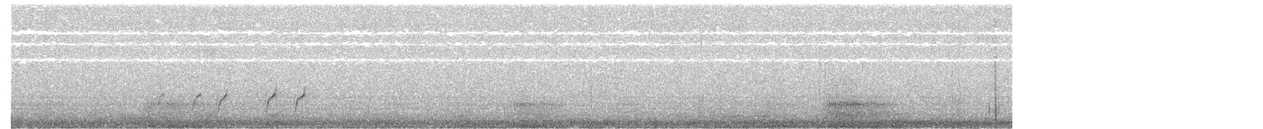 brhlík skalní - ML646451821