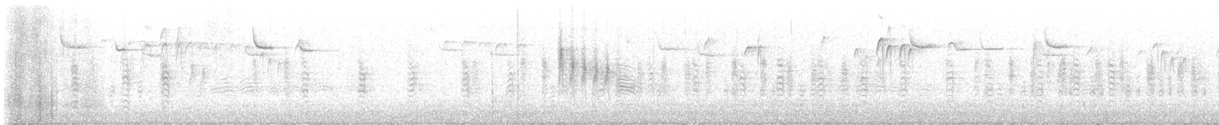 brhlík americký - ML646452049