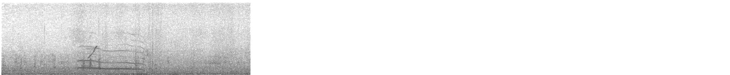 potáplice sp. - ML646452084