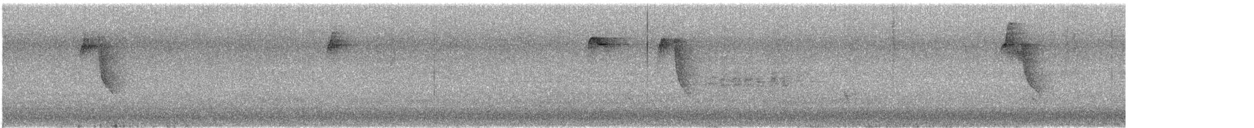 sýkora babka - ML646452248