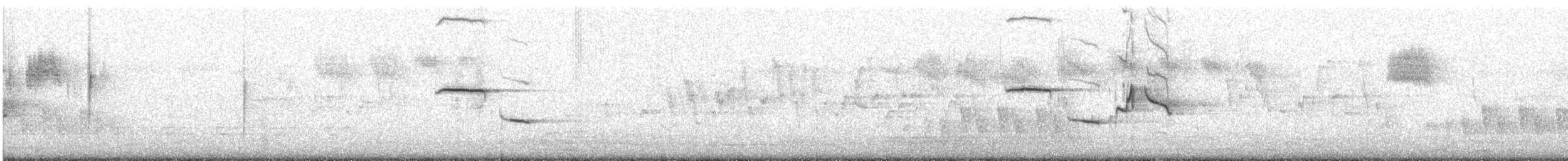 Madagascar Magpie-Robin - ML646452407