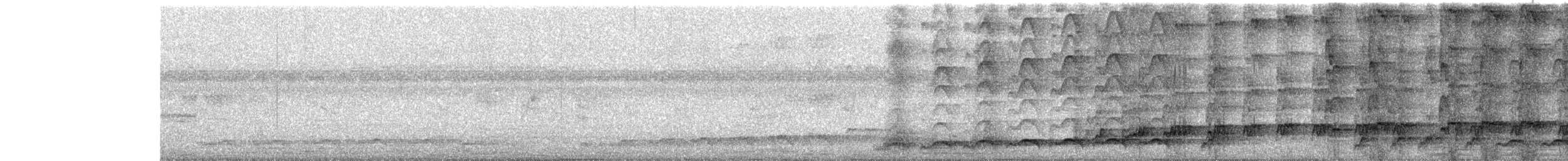 kukačka koel - ML646452693